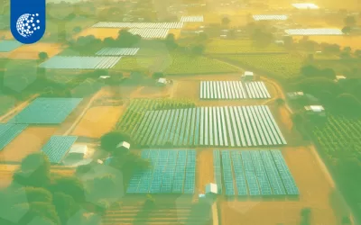 Potencial Solar en tu ciudad: Todo lo que debes saber sobre Paneles Solares en Guadalajara